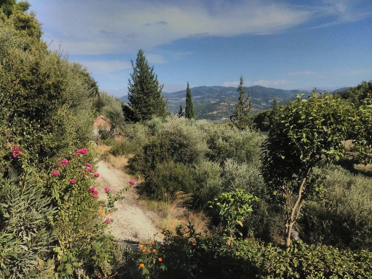 Δυτική Αχαΐα: Μια τρύπα σε δρόμο, εμπόδιο σε αγρότες ΦΩΤΟ