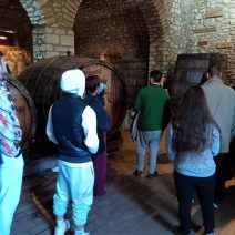 Περίπατος στο Κάστρο της Achaia Clauss για τα παιδιά του «Φωτεινού Αστεριού» ΦΩΤΟ