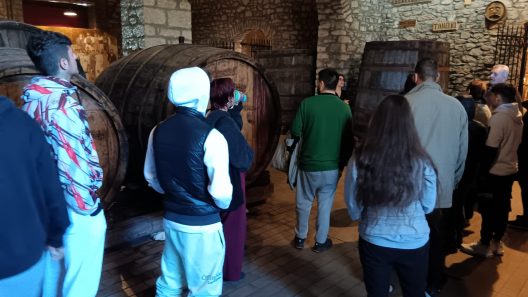 Περίπατος στο Κάστρο της Achaia Clauss για τα παιδιά του «Φωτεινού Αστεριού» ΦΩΤΟ