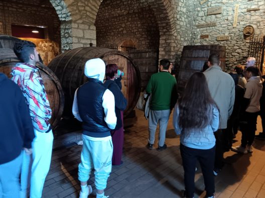 Περίπατος στο Κάστρο της Achaia Clauss για τα παιδιά του «Φωτεινού Αστεριού» ΦΩΤΟ