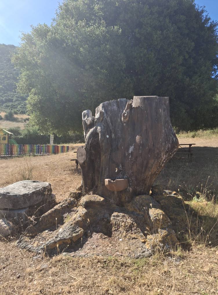 Aχαΐα: Κινδυνεύει Πλάτανος 700 ετών - Από τον ΔΕΔΔΗΕ ΦΩΤΟ 29 Aχαΐα: Κινδυνεύει Πλάτανος 700 ετών - Από τον ΔΕΔΔΗΕ ΦΩΤΟ