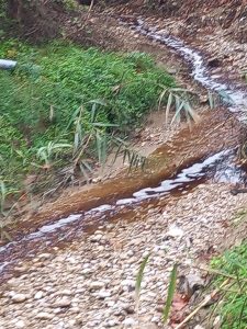 Πάτρα: Ερχονται έλεγχοι και βαριά πρόστιμα για τα σκουπίδια - «Χαβούζα» και πάλι ο ΧΥΤΑ Ξερόλακκας ΦΩΤΟ