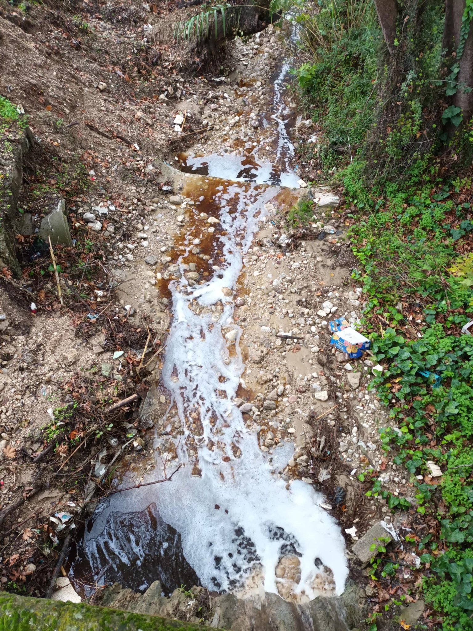 Πάτρα: Ερχονται έλεγχοι και βαριά πρόστιμα για τα σκουπίδια - «Χαβούζα» και πάλι ο ΧΥΤΑ Ξερόλακκας ΦΩΤΟ