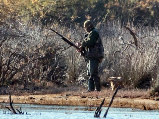 Αχαΐα: Αιχμές Οικολόγων για Αστυνομία, Δασαρχείο, στην λαθροϋλοτομία, λαθροθηρία του Εθνικού Πάρκου Στροφυλιάς 27 Αχαΐα: Αιχμές Οικολόγων για Αστυνομία, Δασαρχείο, στην λαθροϋλοτομία, λαθροθηρία του Εθνικού Πάρκου Στροφυλιάς