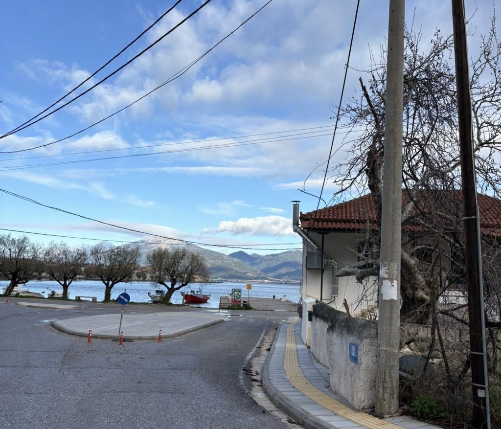 Ψαθόπυργος: Κλάδεψαν τους Πλατάνους για να περνάει το λεωφορείο ΦΩΤΟ