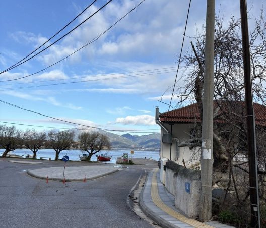 Ψαθόπυργος: Κλάδεψαν τους Πλατάνους για να περνάει το λεωφορείο ΦΩΤΟ 26 Ψαθόπυργος: Κλάδεψαν τους Πλατάνους για να περνάει το λεωφορείο ΦΩΤΟ