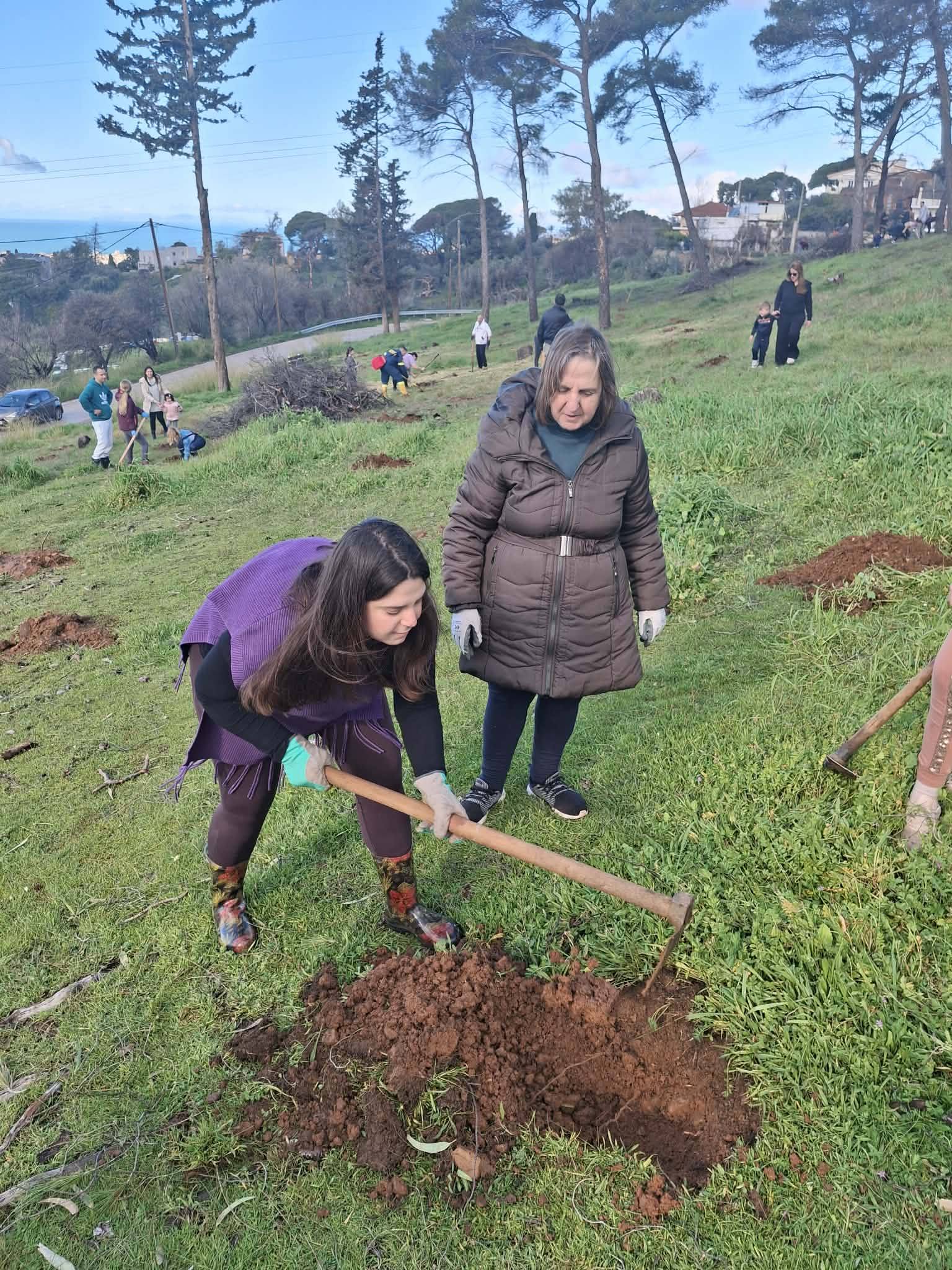 Ξαναδίνουν ζωή στο «καμένο» Γηροκομειό της Πάτρας, με νέες φυτεύσεις ΦΩΤΟ 34 Ξαναδίνουν ζωή στο «καμένο» Γηροκομειό της Πάτρας, με νέες φυτεύσεις ΦΩΤΟ