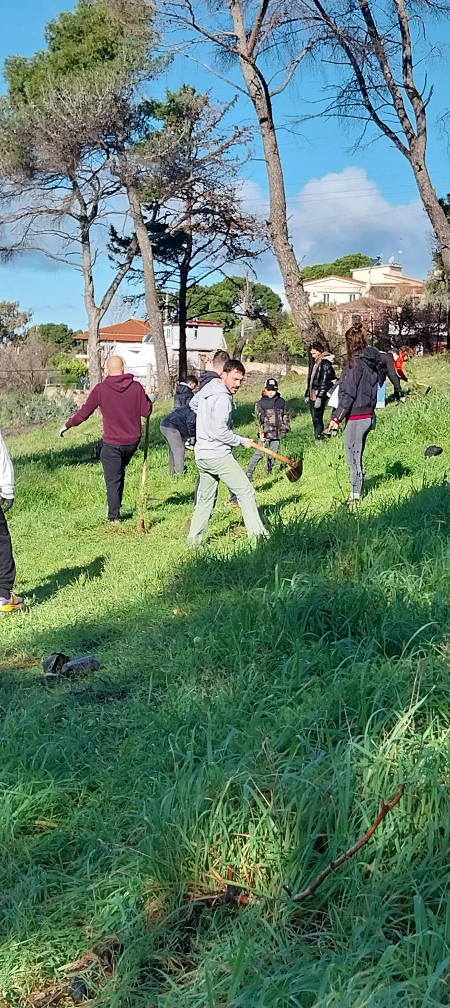 Νέο πράσινο, με γκρι φόντο από τη φωτιά, στο Γηροκομειό της Πάτρας ΦΩΤΟ 29 Νέο πράσινο, με γκρι φόντο από τη φωτιά, στο Γηροκομειό της Πάτρας ΦΩΤΟ