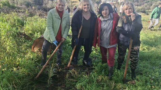 Νέο πράσινο, με γκρι φόντο από τη φωτιά, στο Γηροκομειό της Πάτρας ΦΩΤΟ