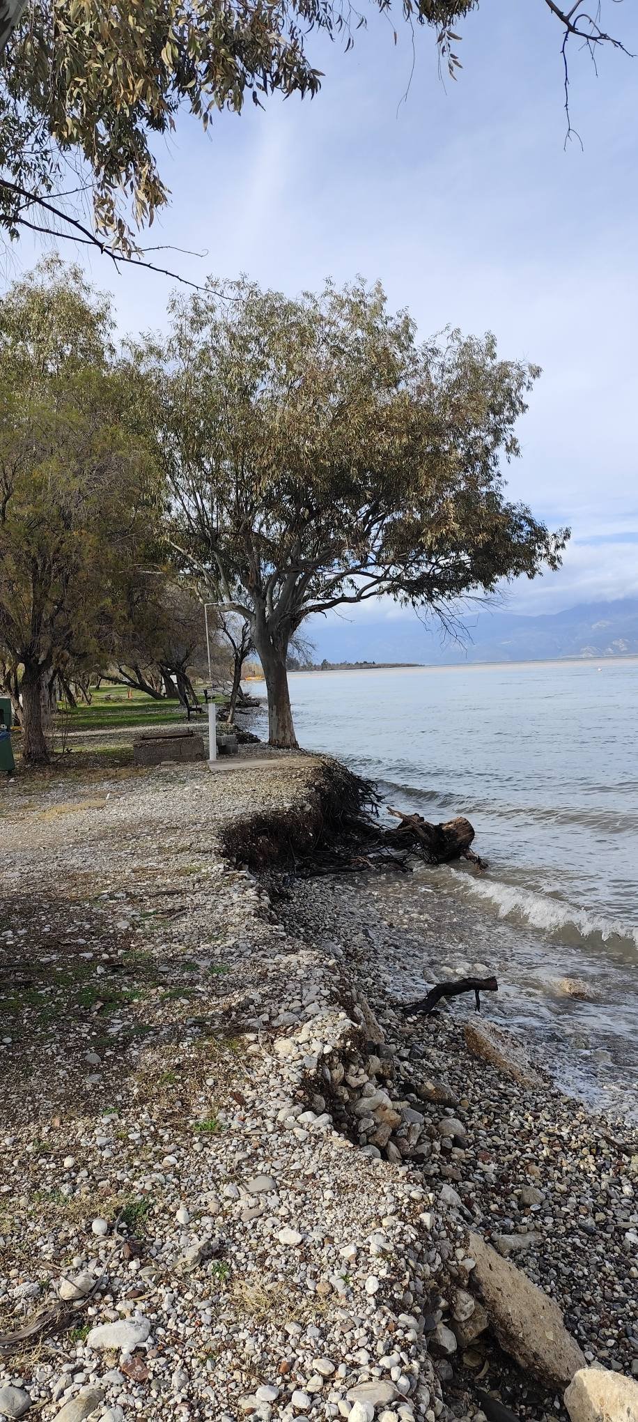 Αχαΐα: «Φαγώθηκε» η ακτή στη Ροδιά, ειδοποιήθηκαν για μέτρα δύο Υπουργεία ΦΩΤΟ