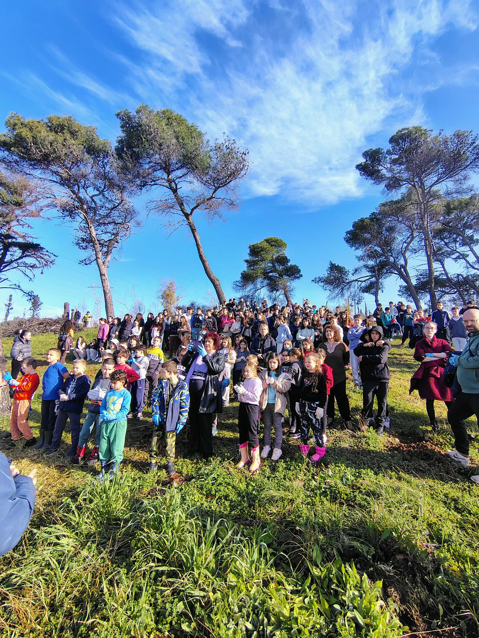 Αναδάσωση από μαθητές σχολείων, στο Γηροκομειό ΦΩΤΟ 29 Αναδάσωση από μαθητές σχολείων, στο Γηροκομειό ΦΩΤΟ