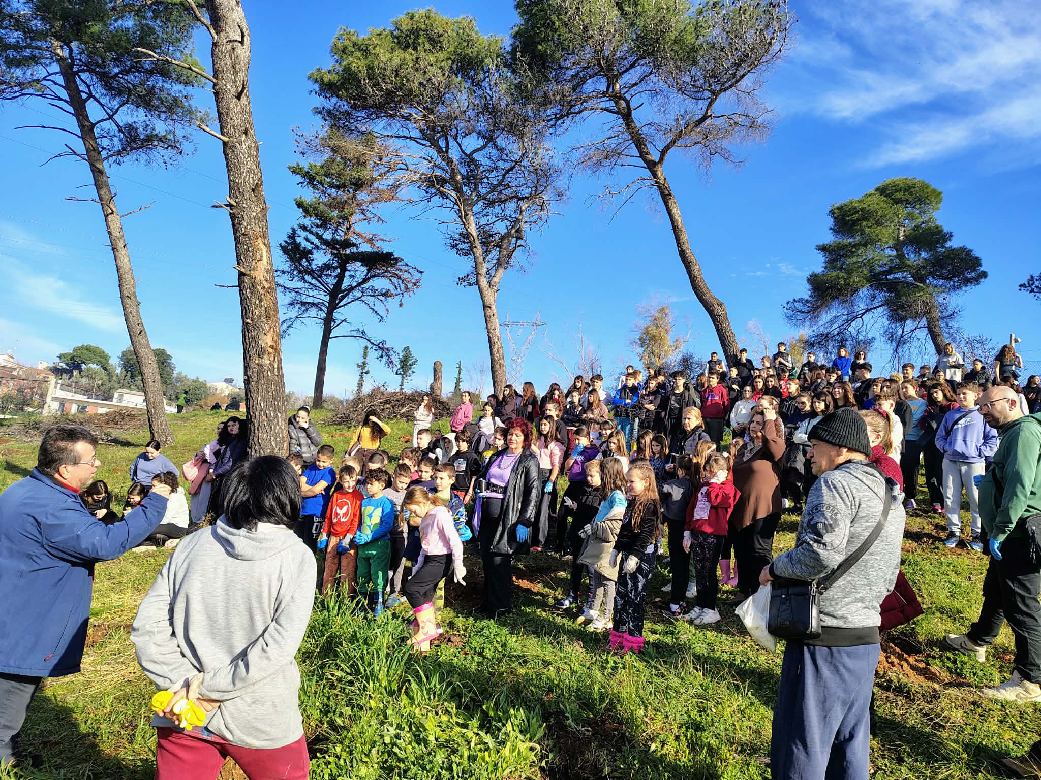 Αναδάσωση από μαθητές σχολείων, στο Γηροκομειό ΦΩΤΟ 4 Αναδάσωση από μαθητές σχολείων, στο Γηροκομειό ΦΩΤΟ