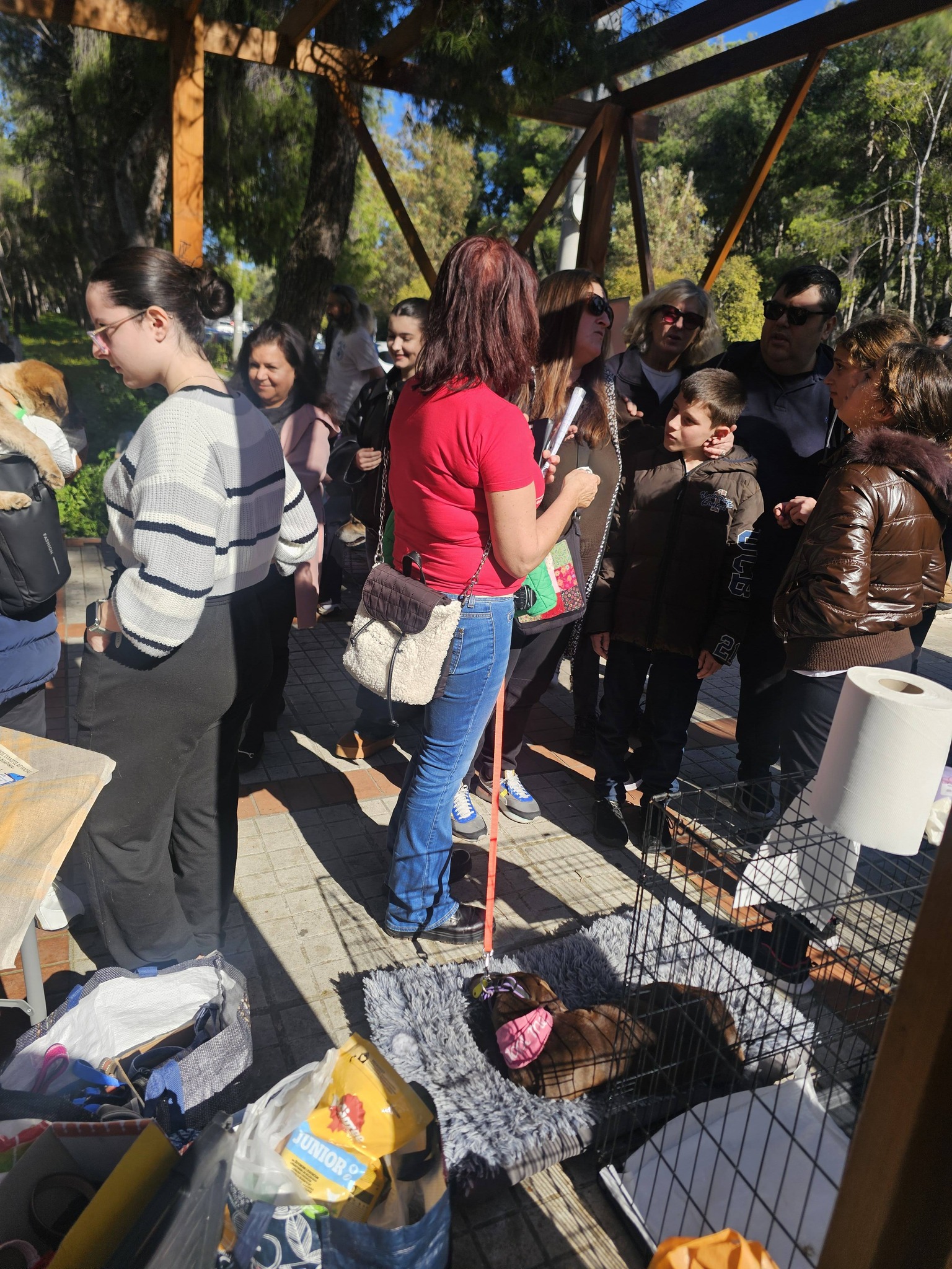 Στου Παπάγου για τα αδέσποτα ο Δήμος Αιγιάλειας ΦΩΤΟ 29 Στου Παπάγου για τα αδέσποτα ο Δήμος Αιγιάλειας ΦΩΤΟ