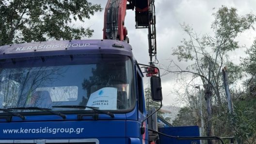 Πάτρα: Πτώσεις δέντρων στο Γηροκομειό, με κίνδυνο, μετά τη φωτιά ΦΩΤΟ