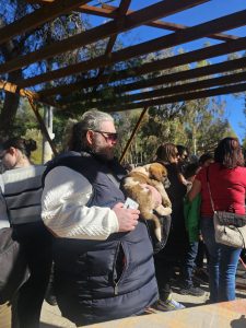 Στου Παπάγου για τα αδέσποτα ο Δήμος Αιγιάλειας ΦΩΤΟ 30 Στου Παπάγου για τα αδέσποτα ο Δήμος Αιγιάλειας ΦΩΤΟ