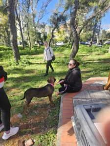 Στου Παπάγου για τα αδέσποτα ο Δήμος Αιγιάλειας ΦΩΤΟ 32 Στου Παπάγου για τα αδέσποτα ο Δήμος Αιγιάλειας ΦΩΤΟ
