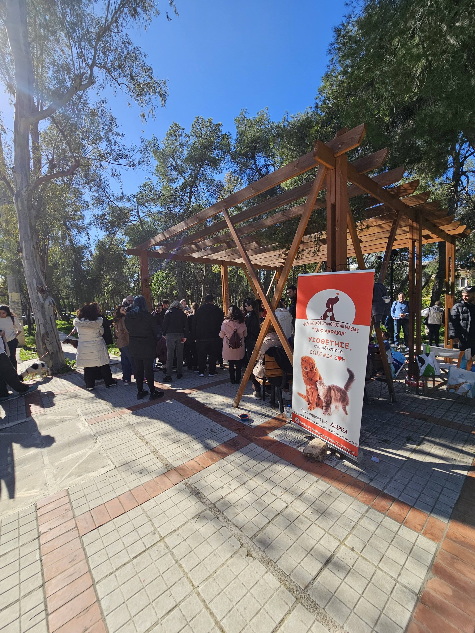 Στου Παπάγου για τα αδέσποτα ο Δήμος Αιγιάλειας ΦΩΤΟ 33 Στου Παπάγου για τα αδέσποτα ο Δήμος Αιγιάλειας ΦΩΤΟ