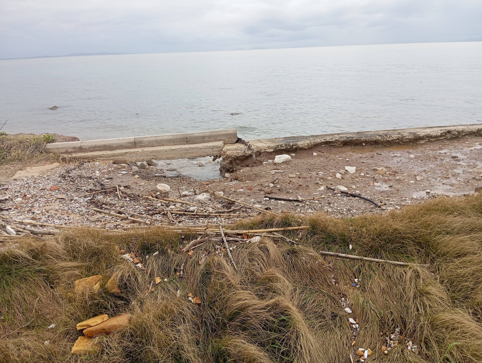 Ιτιές Πατρών: Πλημμύρες και διάβρωση ακτών - Κάτοικοι στο Patrapress.gr ΦΩΤΟ 37 Ιτιές Πατρών: Πλημμύρες και διάβρωση ακτών - Κάτοικοι στο Patrapress.gr ΦΩΤΟ