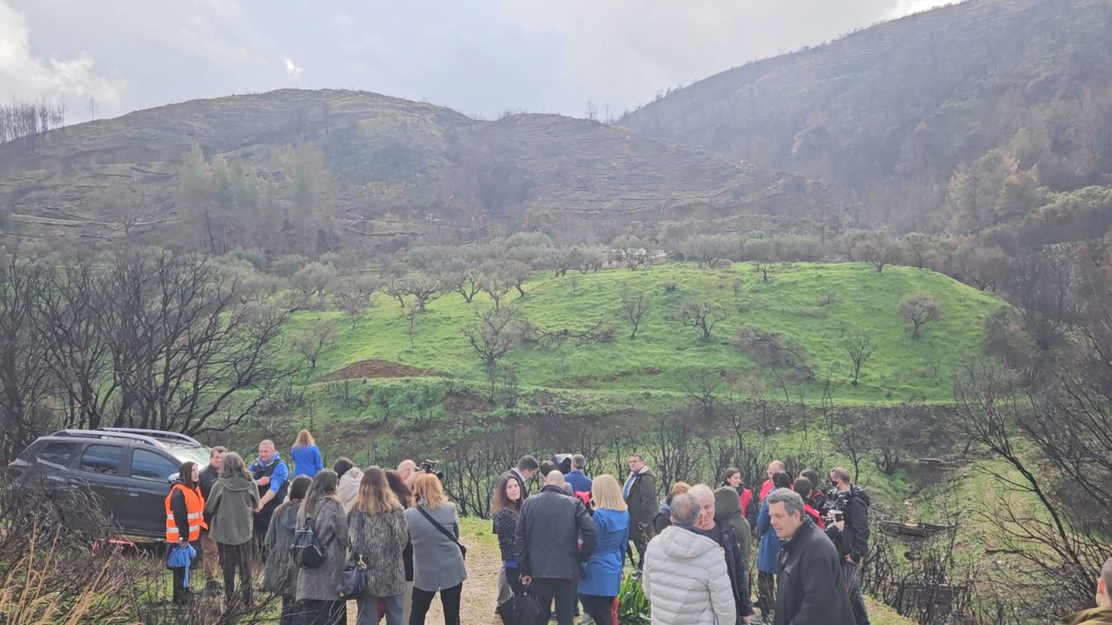 Αχαΐα: Το «θαύμα» στα καμένα, σε Ανω Συχαινά Πάτρας και Αχαγιά –  Αυτοψία στα  «μαύρα» σημεία ΦΩΤΟ