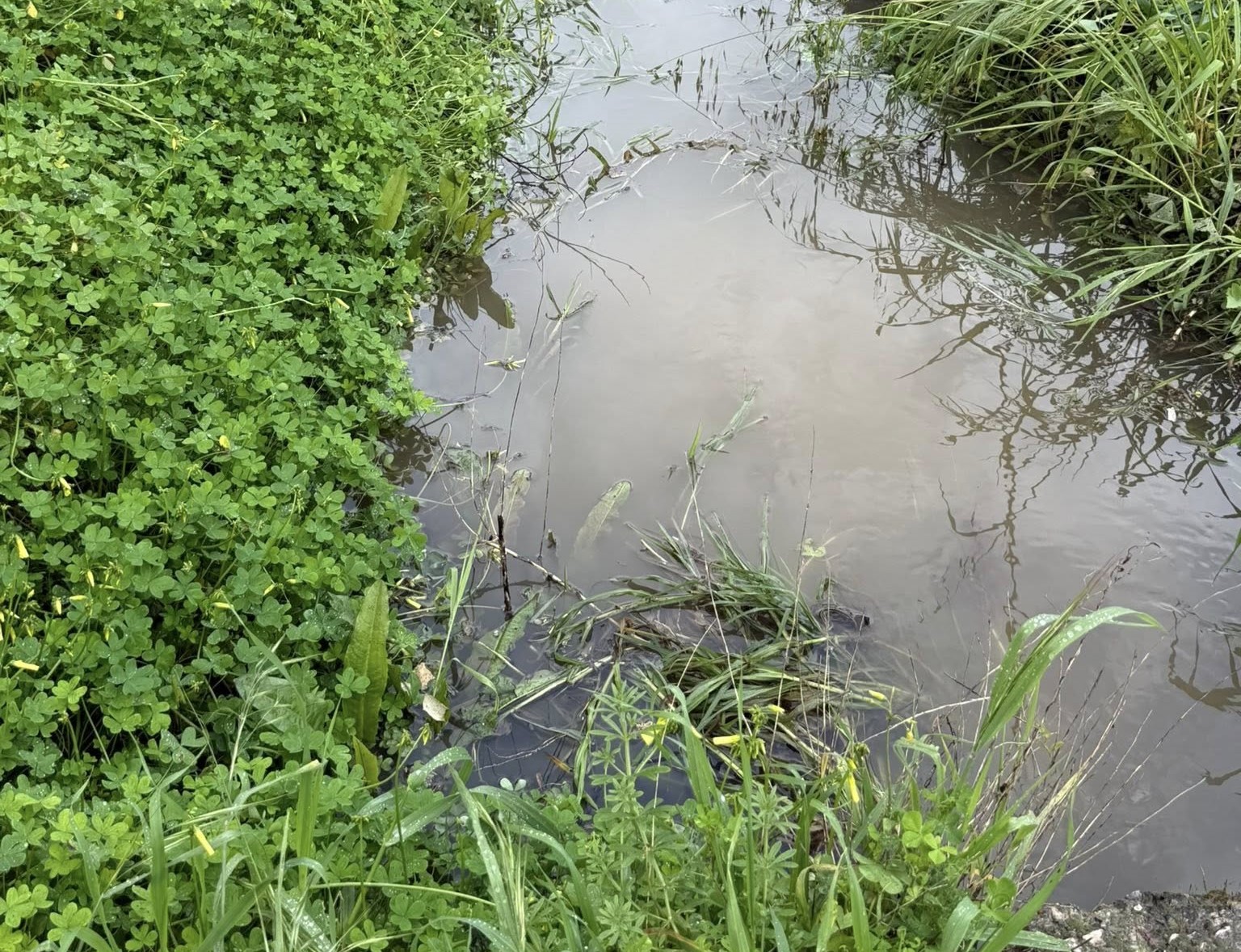 Κάτω Αχαΐα: Κίνδυνος να πλημμυρίσει κεντρικός δρόμος των Αλυκών ΦΩΤΟ