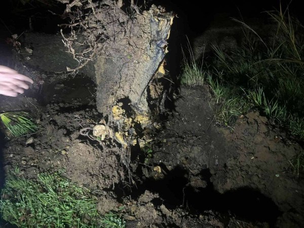 Ηλεία: Ανεμοστρόβιλος και πτώσεις δέντρων στον δρόμο Μπόρσι – Βάρδα ΦΩΤΟ