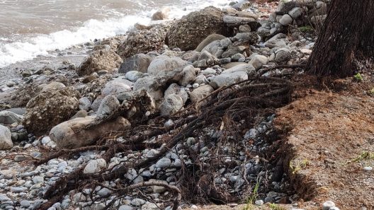 Αχαΐα: Η θάλασσα βγήκε 25μ. έξω και κατέστρεψε περιουσίες, παραλίες, δρόμους ΒΙΝΤΕΟ - ΦΩΤΟ