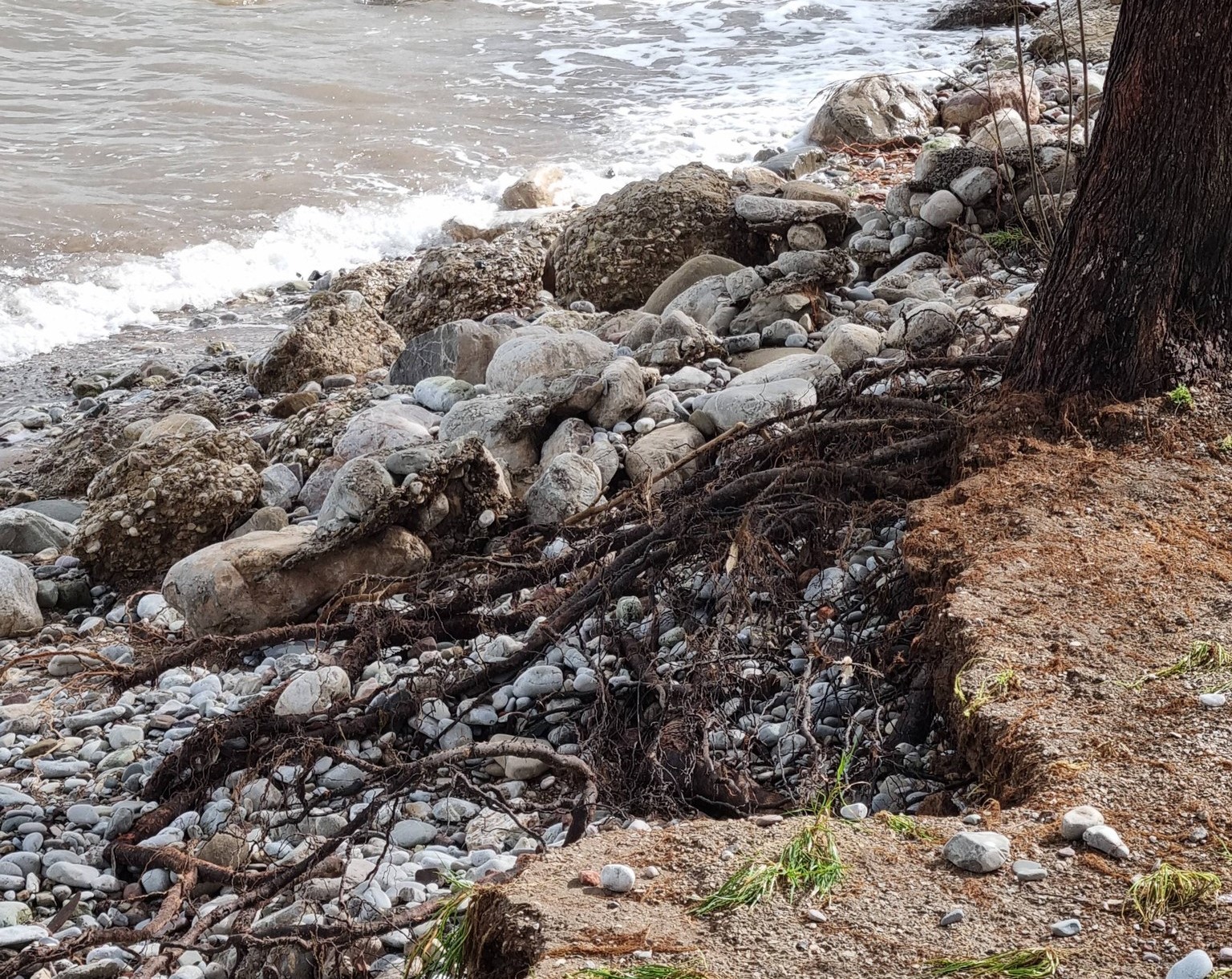 Αχαΐα: Η θάλασσα βγήκε 25μ. έξω και κατέστρεψε περιουσίες, παραλίες, δρόμους ΒΙΝΤΕΟ – ΦΩΤΟ