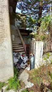 Πάτρα: «Ζούγκλα» και βρωμιά δίπλα σε σχολείο, για χρόνια ΦΩΤΟ 33 Πάτρα: «Ζούγκλα» και βρωμιά δίπλα σε σχολείο, για χρόνια ΦΩΤΟ