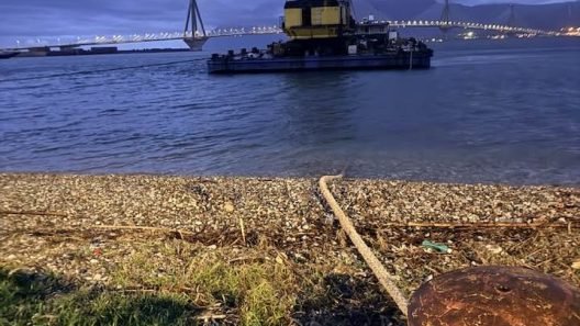 Ρίο - Αγιος Βασίλειος: Υποθαλάσσια έργα και 2.500 τσιμεντοκολώνες στην Ανάπλαση ακτής και παραλιακής ΦΩΤΟ