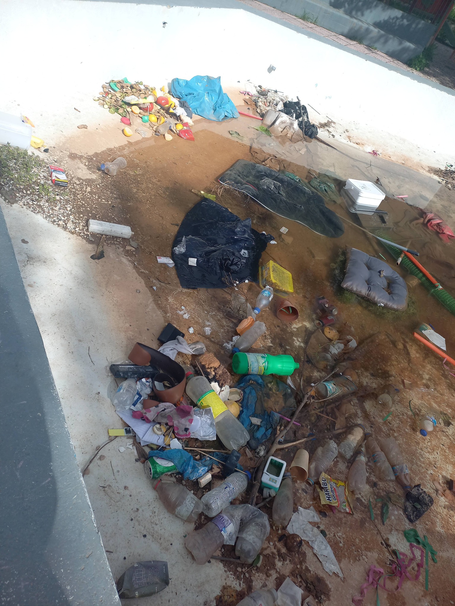 Πάτρα: Οι χιλιάδες επισκέπτες του Καρναβαλιού είδαν τα χάλια μας - Μέχρι και ποντίκια σε Πλατείες ΦΩΤΟ