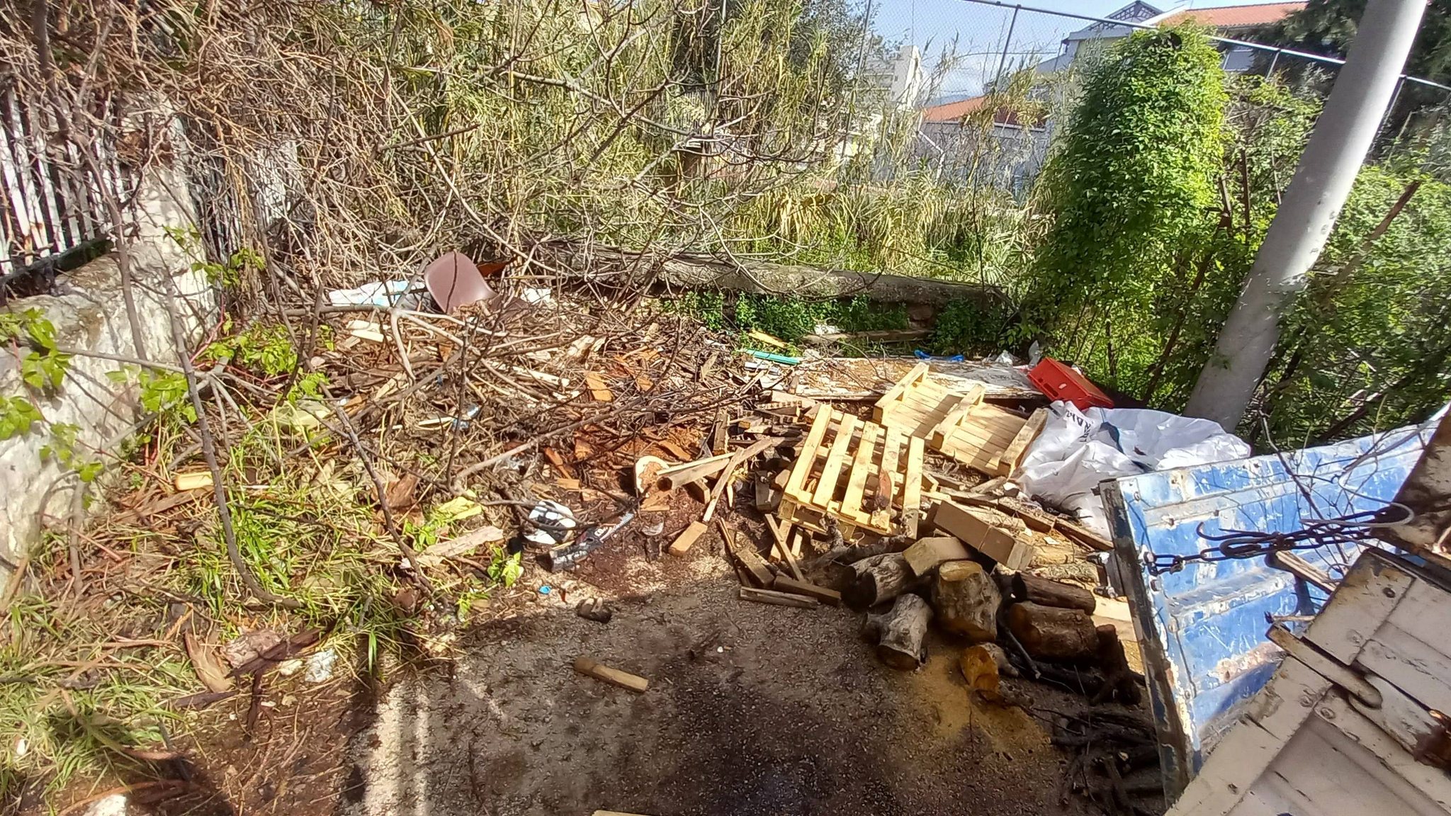 Πάτρα: «Ζούγκλα» και βρωμιά δίπλα σε σχολείο, για χρόνια ΦΩΤΟ