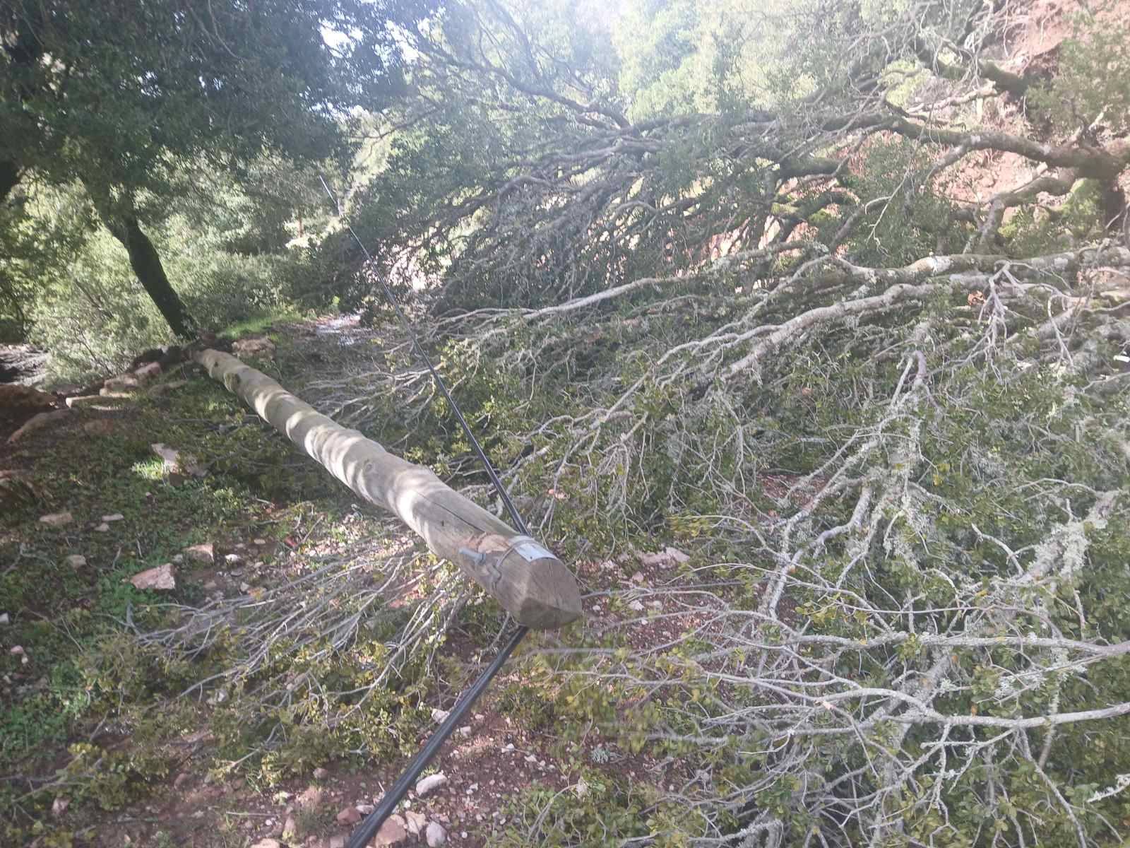 Αχαΐα: Εικόνες «αποκάλυψης» σε ορεινά χωριά μετά το πέρασμα της κακοκαιρίας ΦΩΤΟ