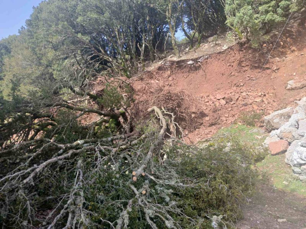 Αχαΐα: Εικόνες «αποκάλυψης» σε ορεινά χωριά μετά το πέρασμα της κακοκαιρίας ΦΩΤΟ