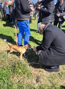 Εφτιαξε φασολάδα και χαλάρωσε στα Κούλουμα της Αιγιάλειας ο Υφυπουργός Πολιτισμού Ι. Φωτήλας ΦΩΤΟ 34 Εφτιαξε φασολάδα και χαλάρωσε στα Κούλουμα της Αιγιάλειας ο Υφυπουργός Πολιτισμού Ι. Φωτήλας ΦΩΤΟ