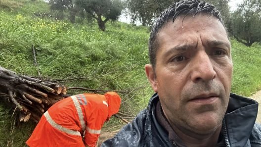 Λουσικά Αχαΐας: Πτώση δέντρου κινητοποίησε τις Αρχές ΦΩΤΟ
