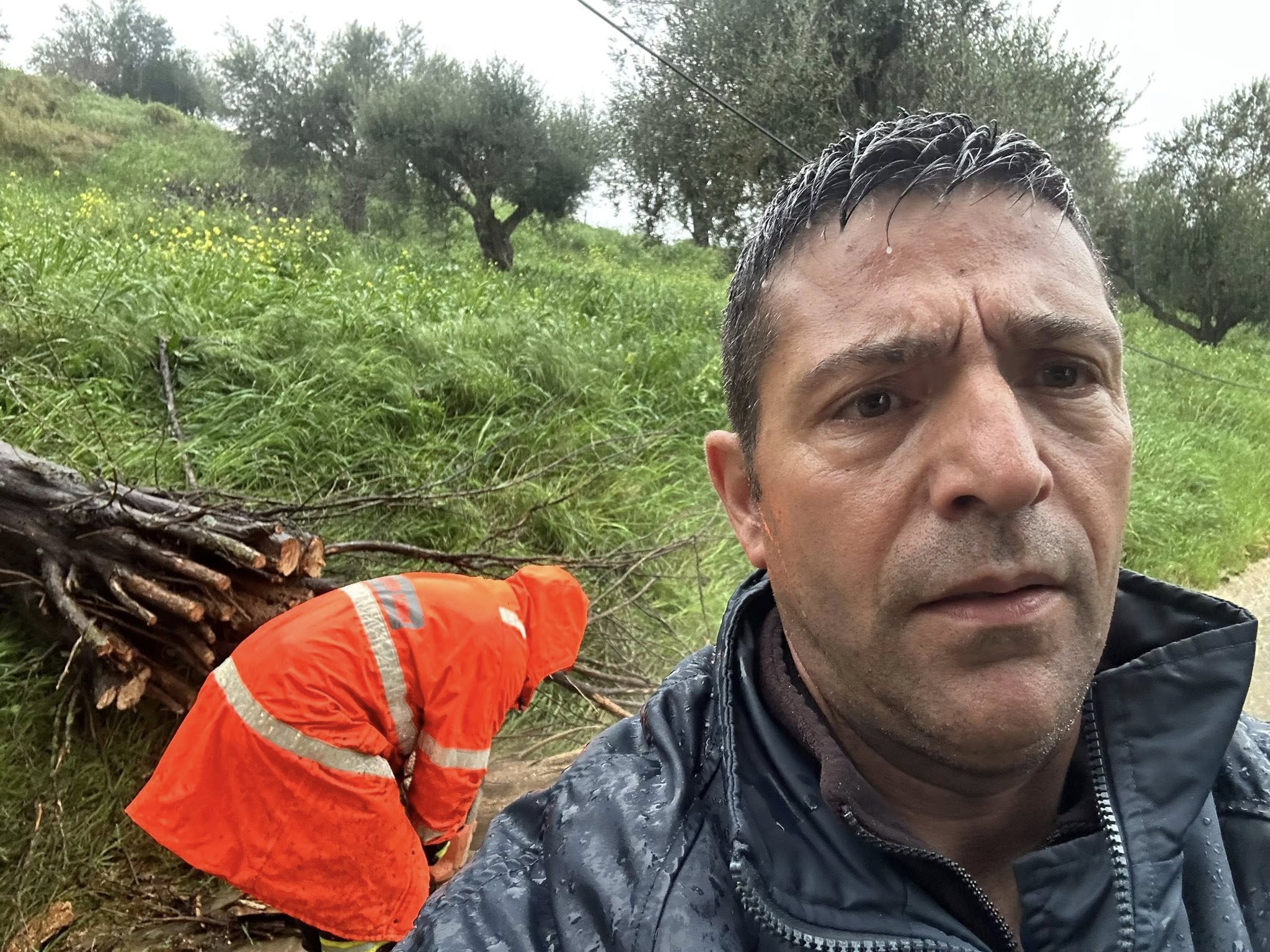 Λουσικά Αχαΐας: Πτώση δέντρου κινητοποίησε τις Αρχές ΦΩΤΟ