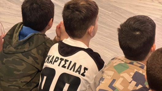 Το 7ο Δημοτικό Αιγίου για την επέτειο του Παναιγιαλείου και τη Βία ΦΩΤΟ