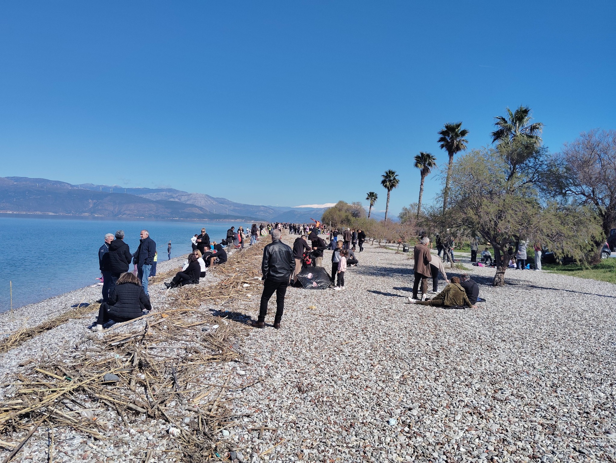 Αίγιο: Εντυπωσιακή προσέλευση κόσμου και...φαντασία στα Κούλουμα της Αλυκής ΦΩΤΟ