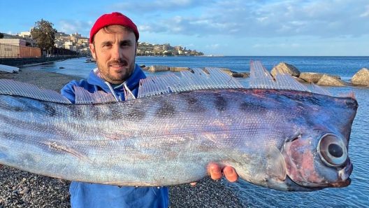 Σπάνιο ψάρι ξεβράστηκε στην Σικελία ΦΩΤΟ