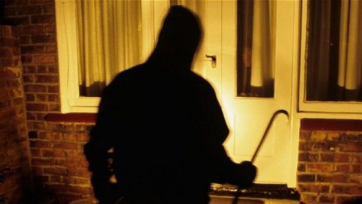 Ηλεία: Εξιχνιάστηκαν κλοπές σε καταστήματα και σπίτια