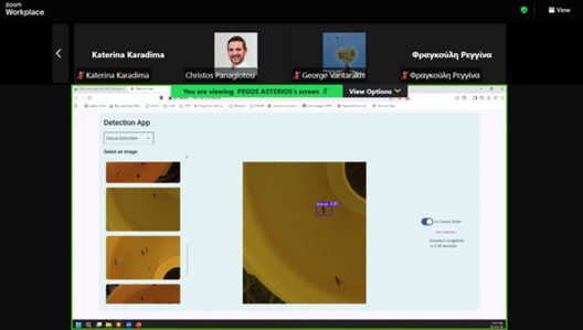 ΛΔράση αναγνώρισης δάκου για τις ελαιοκαλλιέργειες στη Δυτική Ελλάδα