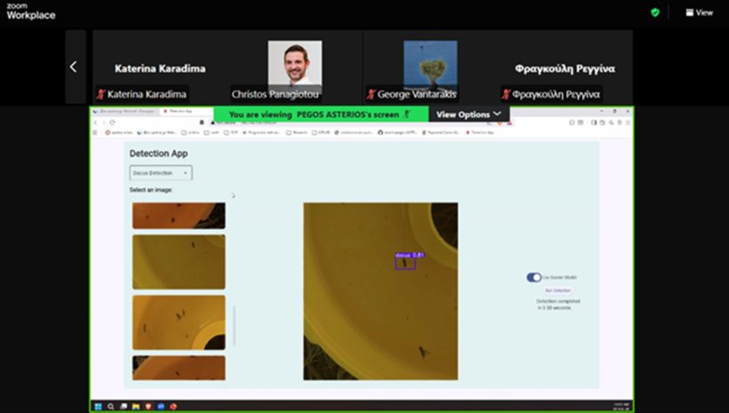 ΛΔράση αναγνώρισης δάκου για τις ελαιοκαλλιέργειες στη Δυτική Ελλάδα 24 ΛΔράση αναγνώρισης δάκου για τις ελαιοκαλλιέργειες στη Δυτική Ελλάδα
