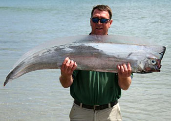 Σπάνιο ψάρι ξεβράστηκε στην Σικελία ΦΩΤΟ 27 Σπάνιο ψάρι ξεβράστηκε στην Σικελία ΦΩΤΟ