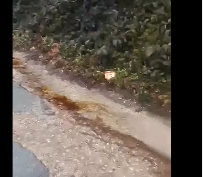 Πάτρα: Αγανακτισμένοι πάλι οι κάτοικοι με την βρωμιά του ΧΥΤΑ Ξερόλακκας ΦΩΤΟ 25 Πάτρα: Αγανακτισμένοι πάλι οι κάτοικοι με την βρωμιά του ΧΥΤΑ Ξερόλακκας ΦΩΤΟ