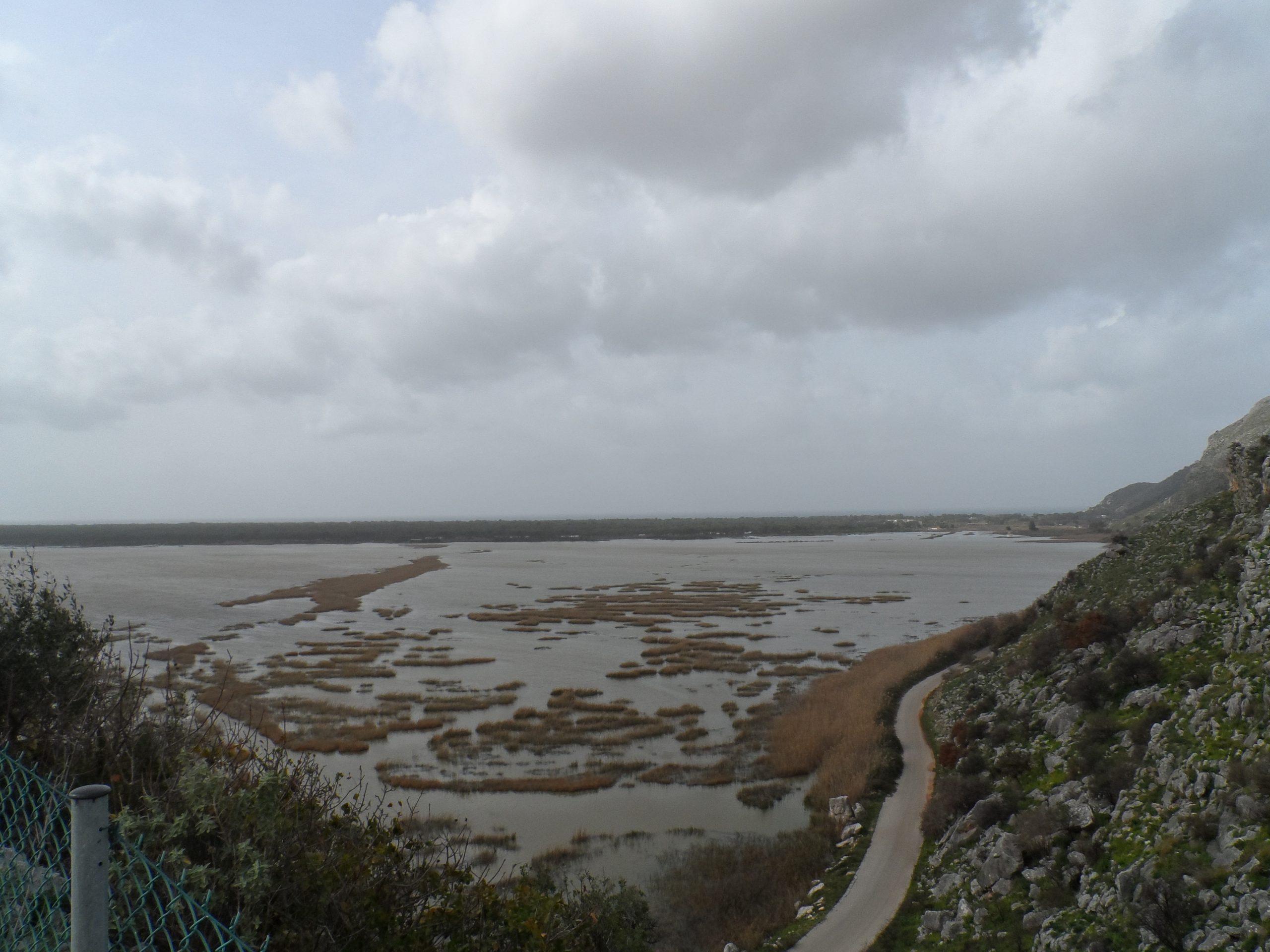 Αχαΐα: Αιχμές Οικολόγων για Αστυνομία, Δασαρχείο, στην λαθροϋλοτομία, λαθροθηρία του Εθνικού Πάρκου Στροφυλιάς 26 Αχαΐα: Αιχμές Οικολόγων για Αστυνομία, Δασαρχείο, στην λαθροϋλοτομία, λαθροθηρία του Εθνικού Πάρκου Στροφυλιάς