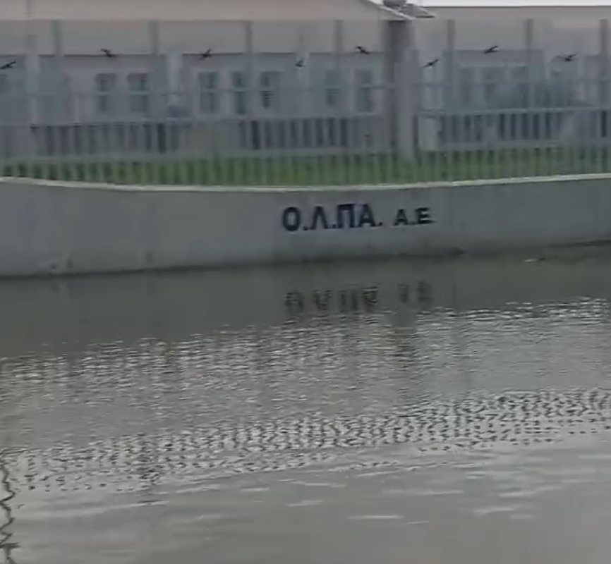 Ακτή Δυμαίων - Πάτρα: Οι εικόνες σε πλημμυρισμένα σπίτια - «Βοήθεια» φώναζε ο κόσμος - Απίστευτη η απάντηση της Αστυνομίας ΦΩΤΟ