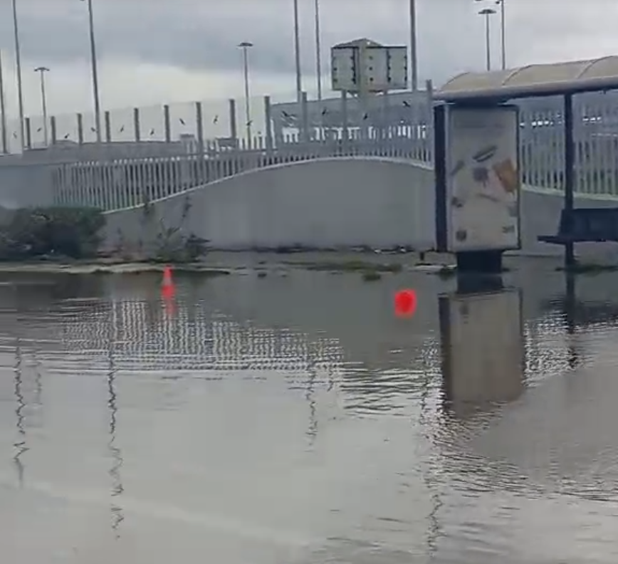 Ακτή Δυμαίων - Πάτρα: Οι εικόνες σε πλημμυρισμένα σπίτια - «Βοήθεια» φώναζε ο κόσμος - Απίστευτη η απάντηση της Αστυνομίας ΦΩΤΟ