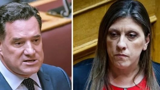 Ερευνα Αστυνομικών από την ΕΛΑΣ μετά τις καταγγελίες Κωνσταντοπούλου για Γεωργιάδη