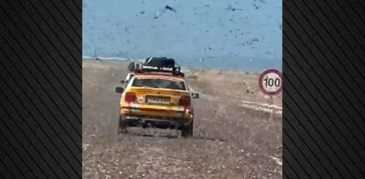 Επέλαση από σμήνη ακρίδων στη Σαχάρα ΒΙΝΤΕΟ