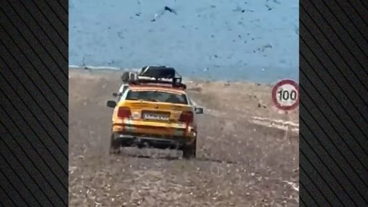 Επέλαση από σμήνη ακρίδων στη Σαχάρα ΒΙΝΤΕΟ